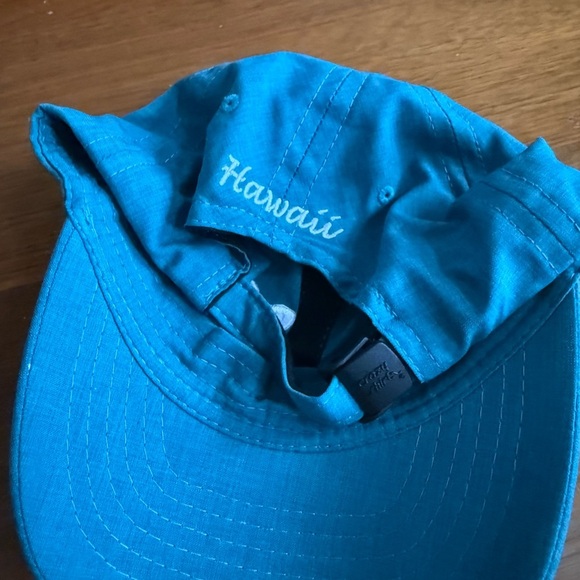 Blue Turtle Logo Cap - Picture 4 of 4